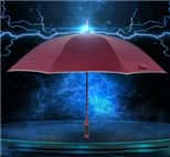 天堂伞 防雷安全型黑胶直杆自开商务晴雨伞31830E黑色